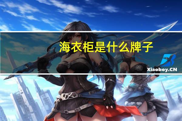 海衣柜是什么牌子