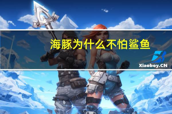 海豚为什么不怕鲨鱼