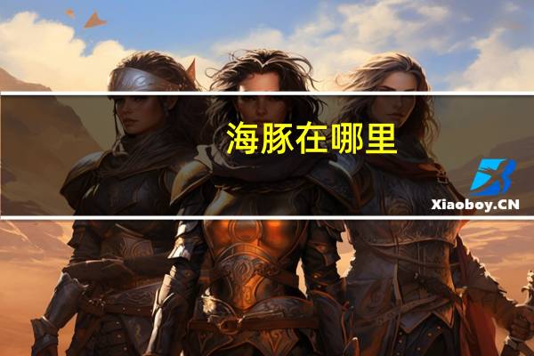 海豚在哪里
