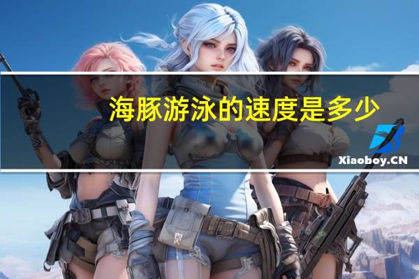 海豚游泳的速度是多少