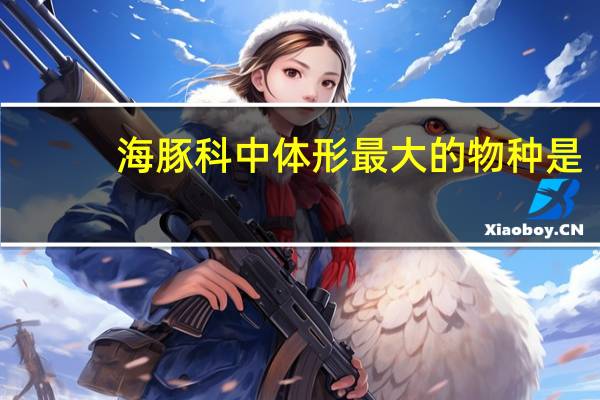 海豚科中体形最大的物种是