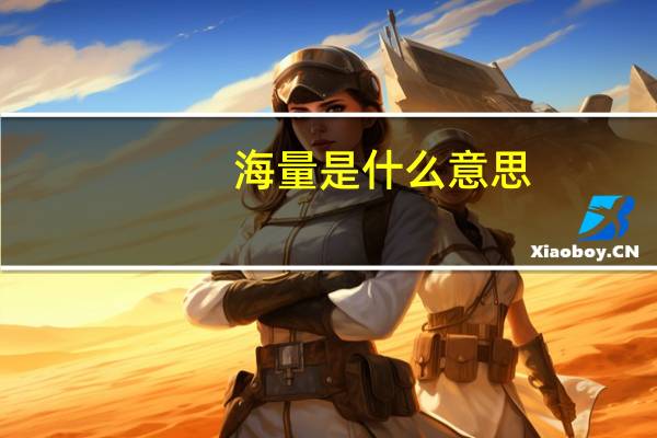 海量是什么意思
