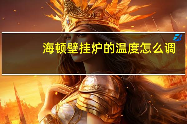 海顿壁挂炉的温度怎么调