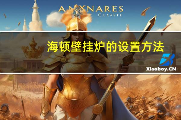 海顿壁挂炉的设置方法