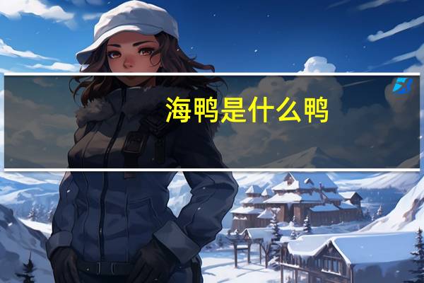 海鸭是什么鸭