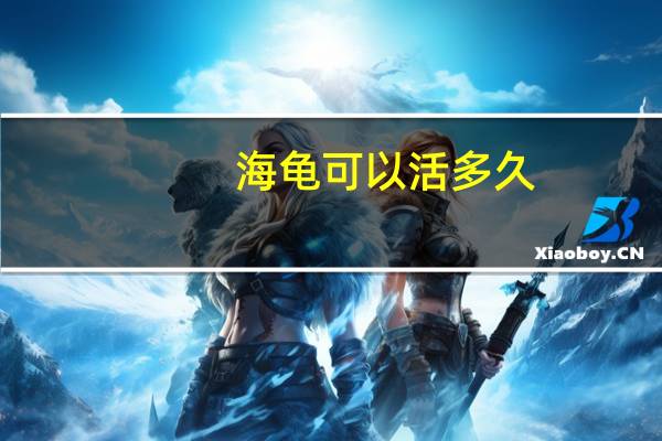 海龟可以活多久