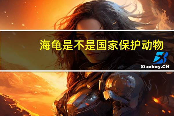 海龟是不是国家保护动物