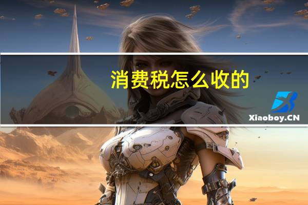消费税怎么收的