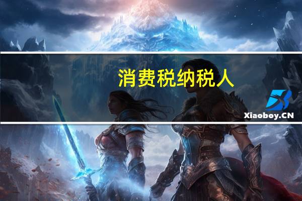 消费税纳税人