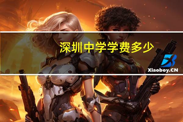 深圳中学学费多少