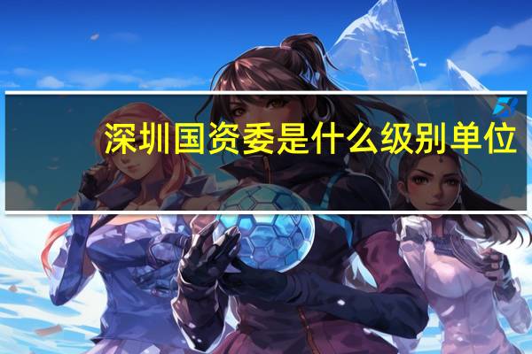 深圳国资委是什么级别单位