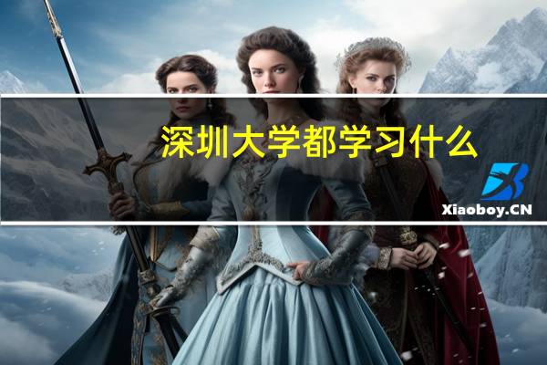 深圳大学都学习什么