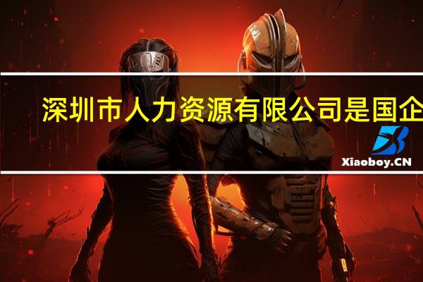深圳市人力资源有限公司是国企吗