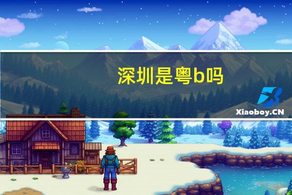 深圳是粤b吗