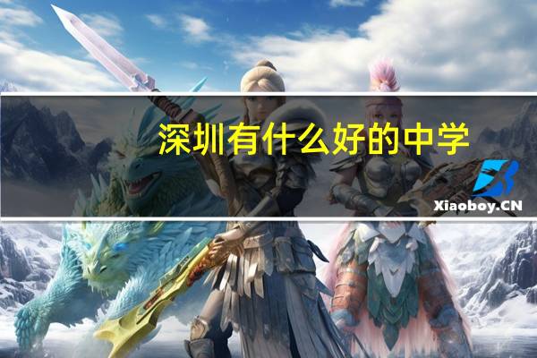 深圳有什么好的中学