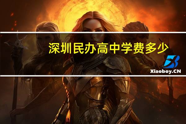 深圳民办高中学费多少？