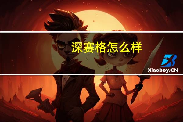 深赛格怎么样