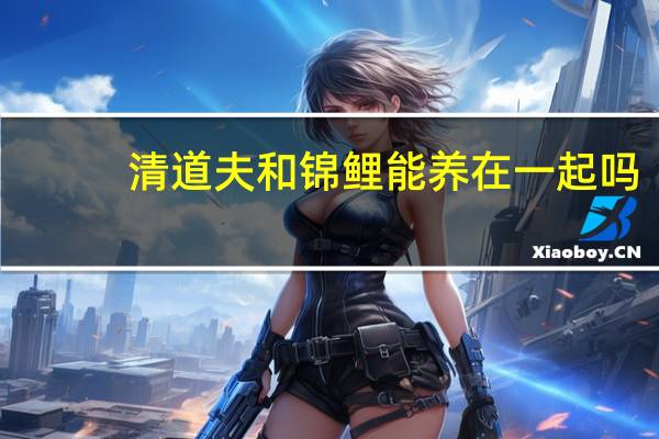 清道夫和锦鲤能养在一起吗