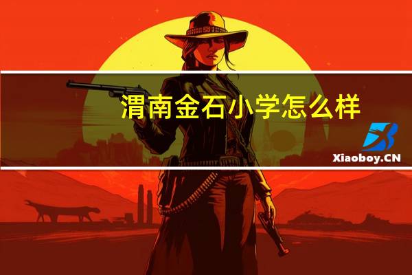 渭南金石小学怎么样