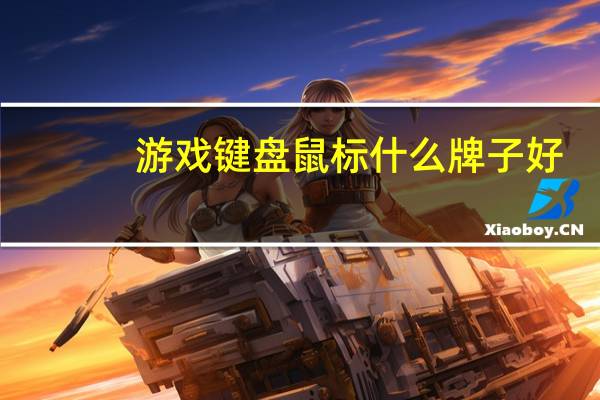 游戏键盘鼠标什么牌子好
