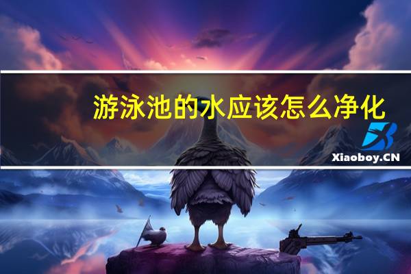 游泳池的水应该怎么净化