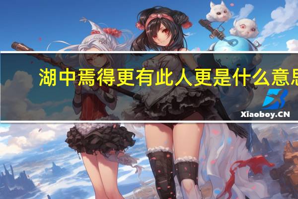 湖中焉得更有此人更是什么意思