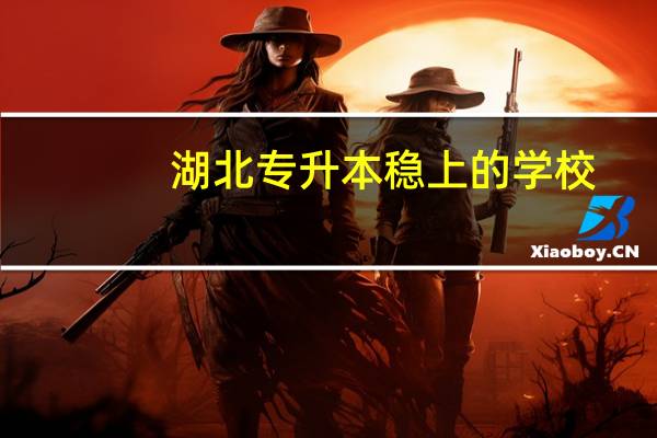湖北专升本稳上的学校