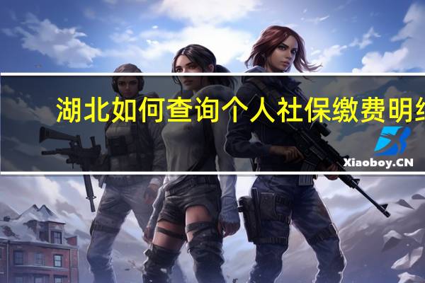 湖北如何查询个人社保缴费明细