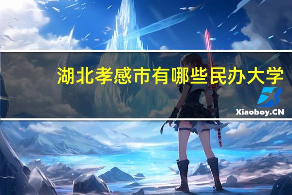 湖北孝感市有哪些民办大学