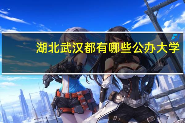 湖北武汉都有哪些公办大学