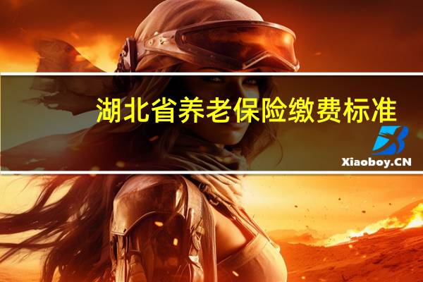 湖北省养老保险缴费标准