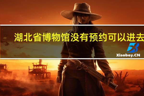 湖北省博物馆没有预约可以进去吗