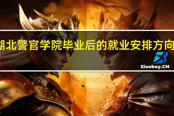 湖北警官学院毕业后的就业安排方向是什么？