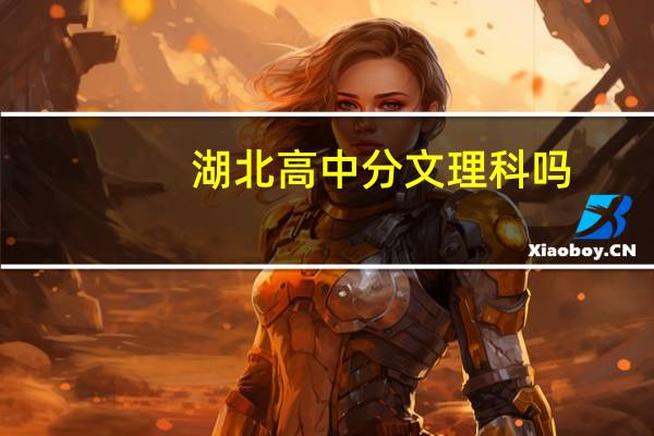 湖北高中分文理科吗