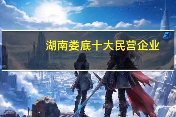 湖南娄底十大民营企业