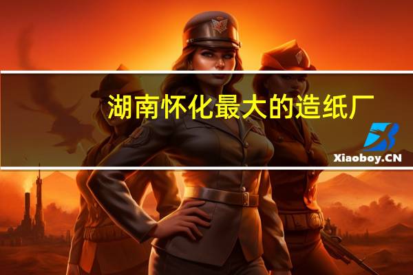 湖南怀化最大的造纸厂