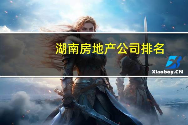 湖南房地产公司排名