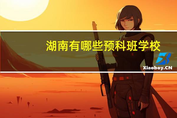 湖南有哪些预科班学校