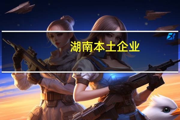 湖南本土企业