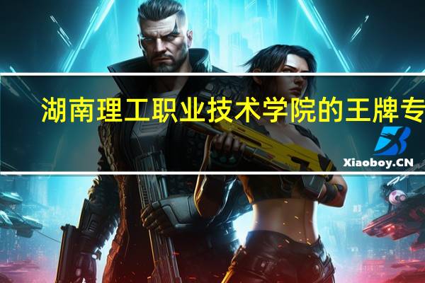 湖南理工职业技术学院的王牌专业