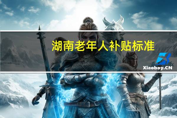 湖南老年人补贴标准
