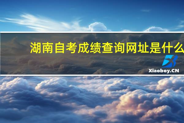 湖南自考成绩查询网址是什么?