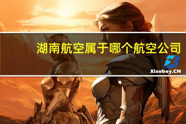 湖南航空属于哪个航空公司