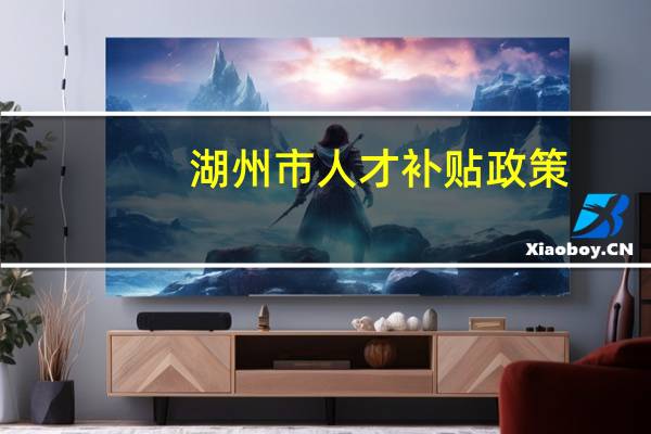 湖州市人才补贴政策