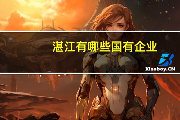 湛江有哪些国有企业,国有的