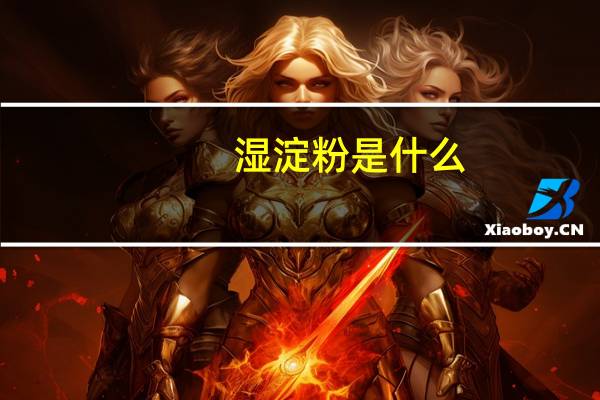 湿淀粉是什么