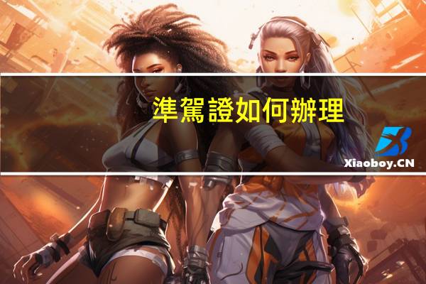 準駕證如何辦理