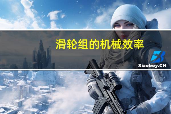 滑轮组的机械效率