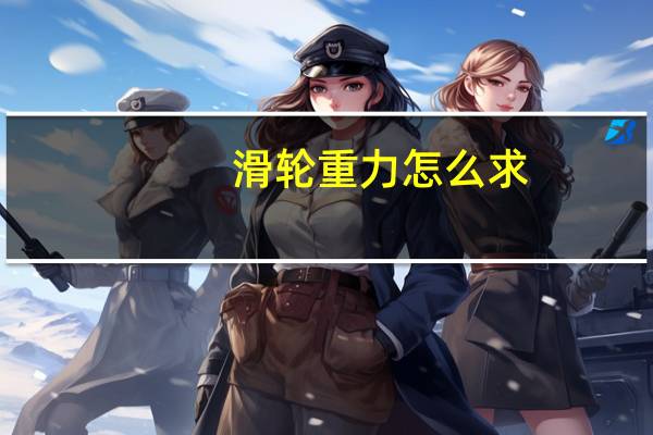 滑轮重力怎么求