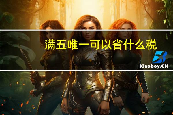 满五唯一可以省什么税